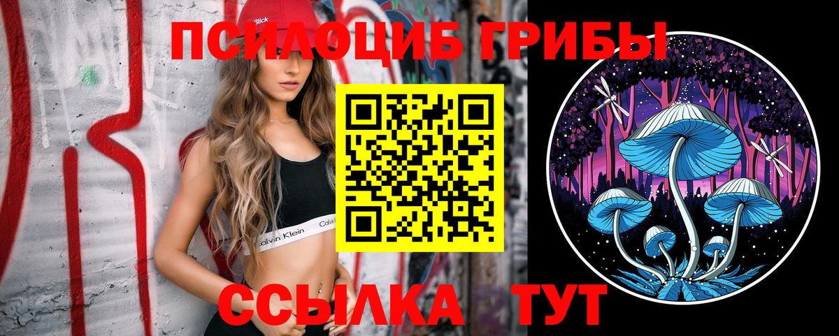Галлюциногенные грибы GOLDEN TEACHER Комсомольск-на-Амуре