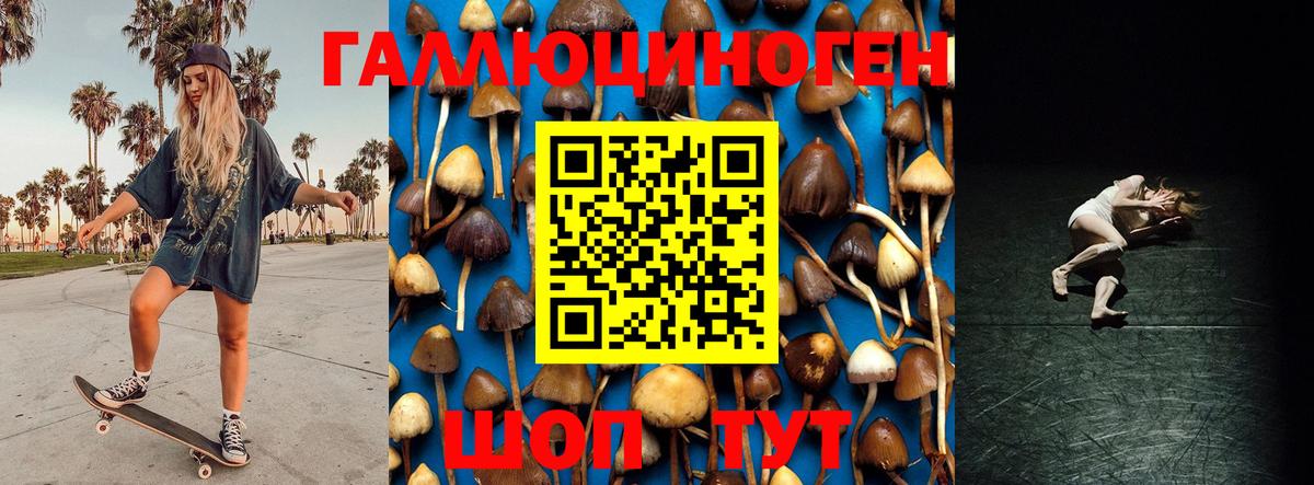 Комсомольск-на-Амуре  Галлюциногенные грибы Psilocybe  Вход с VPN 